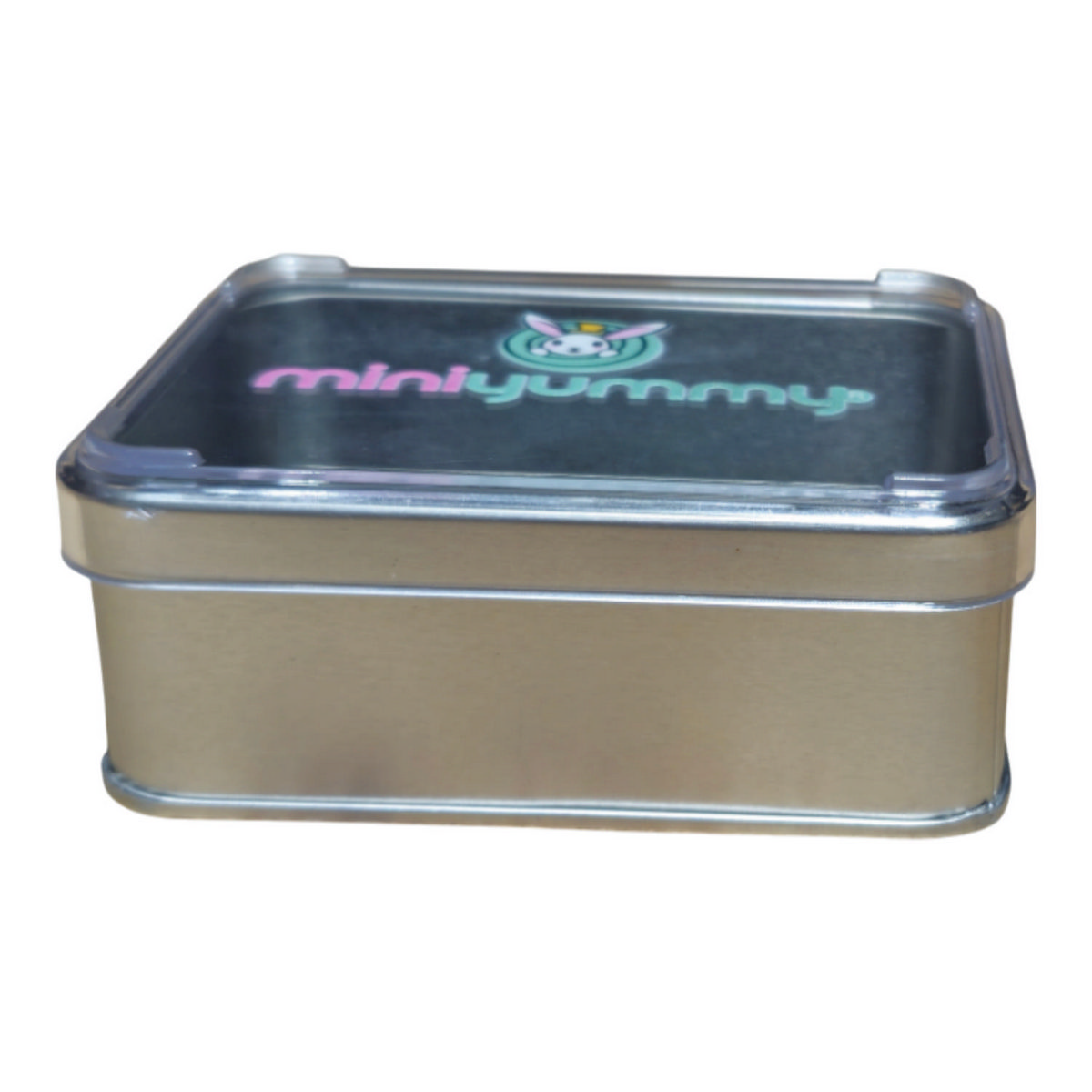 Custom Printed 103x166x36 mm Matte Silver Box with Crystal Lid