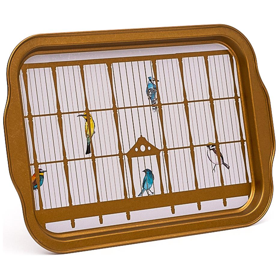 215x316 mm Rectangular Metal Tray Handle Vintage Birdcage Illustration with Colorful Birds