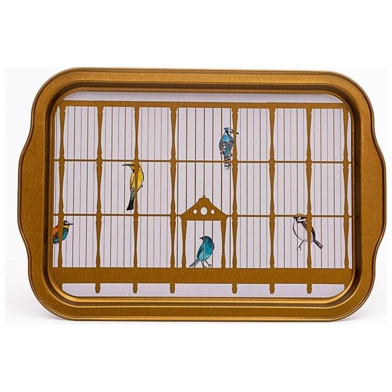 215x316 mm  Rectangular Metal Tray Handle Vintage Birdcage Illustration with Colorful Birds