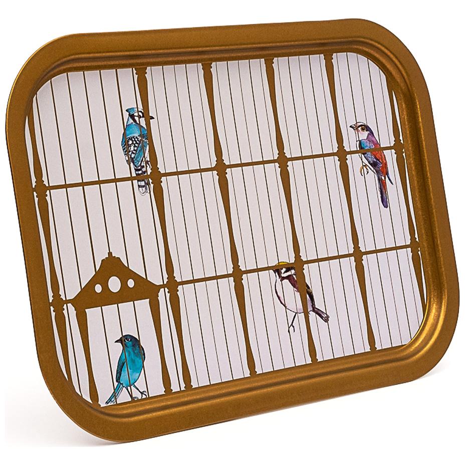 285x400 mm Rectangular Metal Tray Vintage Birdcage Illustration with Colorful Birds