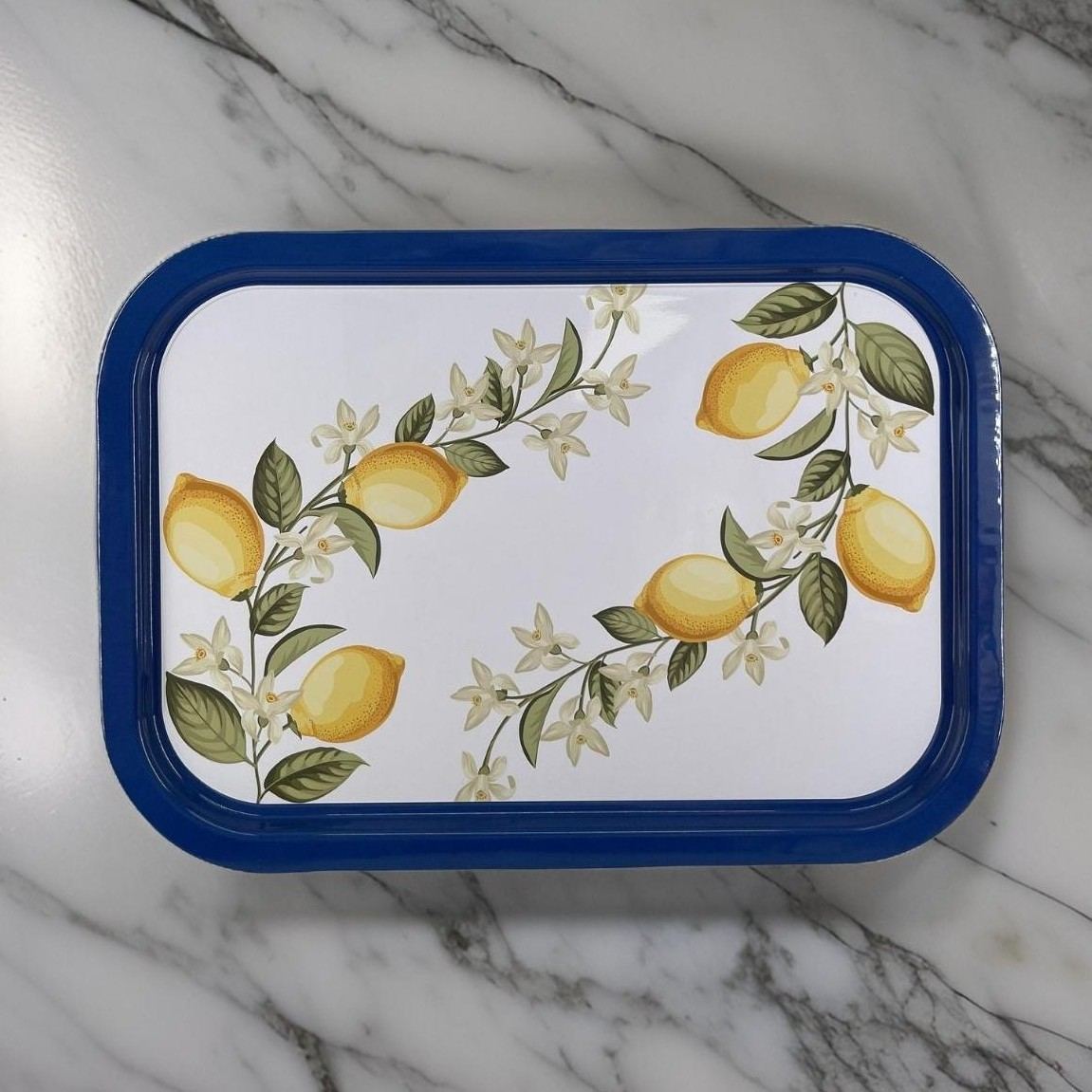 285x400 mm Rectangular Metal Tray Mediterranean Lemon Grove Design