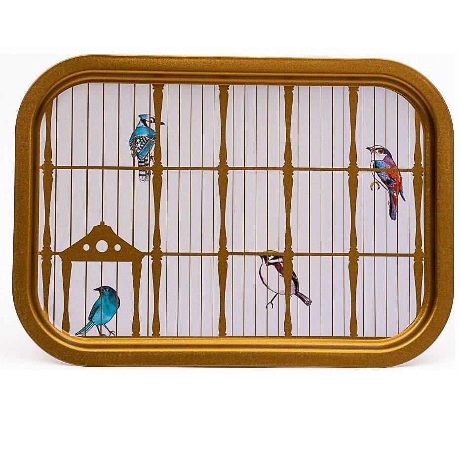 285x400 mm Rectangular Metal Tray Vintage Birdcage Illustration with Colorful Birds