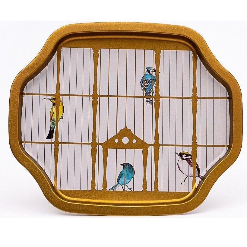 Curved wavy edge Tray  278x332 mm Vintage Birdcage Illustration with Colorful Birds
