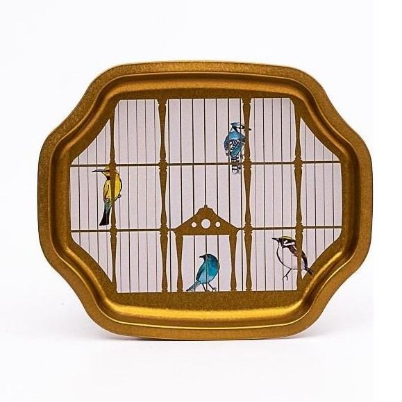 Curved wavy edge Tray  160x190 mm Vintage Birdcage Illustration with Colorful Birds