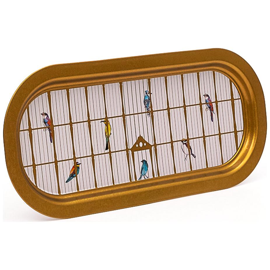 160x350 mm Rectangular Metal Tray Vintage Birdcage Illustration with Colorful Birds