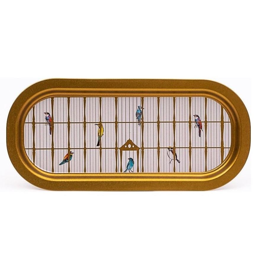 160x350 mm Rectangular Metal Tray Vintage Birdcage Illustration with Colorful Birds