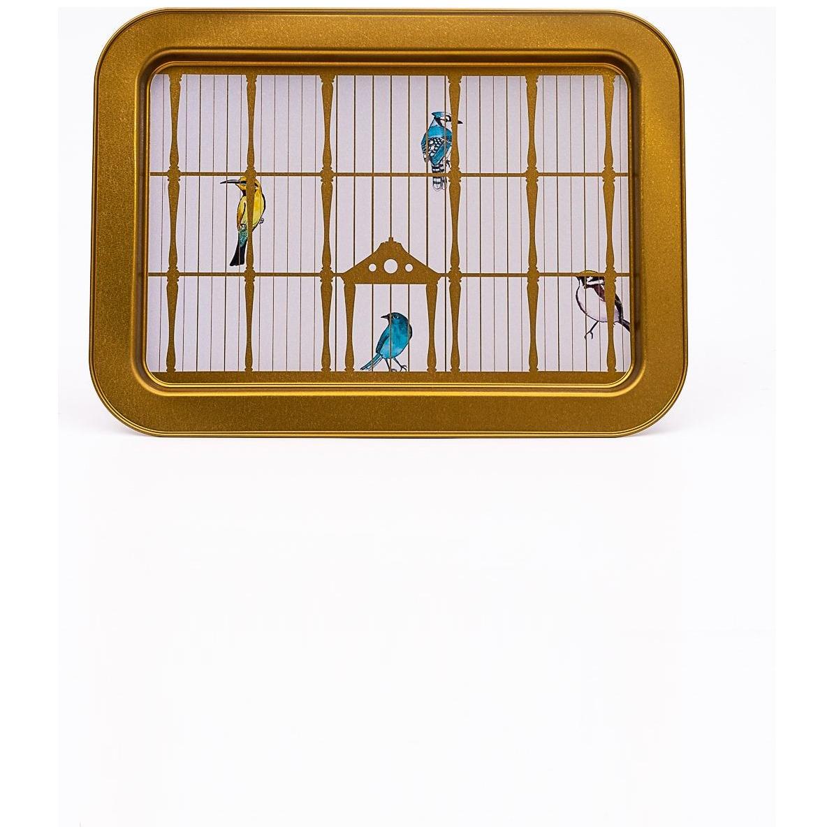 310x430 mm Metal Rectangular Tray Vintage Birdcage Illustration with Colorful Birds