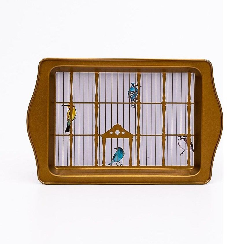 160 x 250 mm  Rectangular Metal Tray Handle Vintage Birdcage Illustration with Colorful Birds