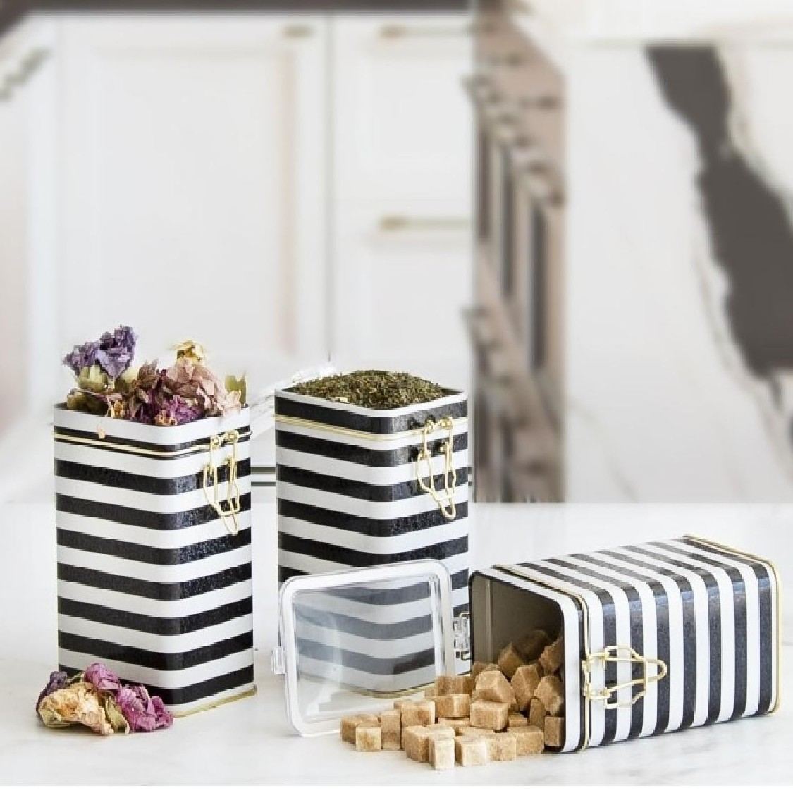 Rectangular Metal Box set 75x100x150 mm (3 Pcs ) Wire Clasp and Transparent Lid Black and White Line Pattern Line Design