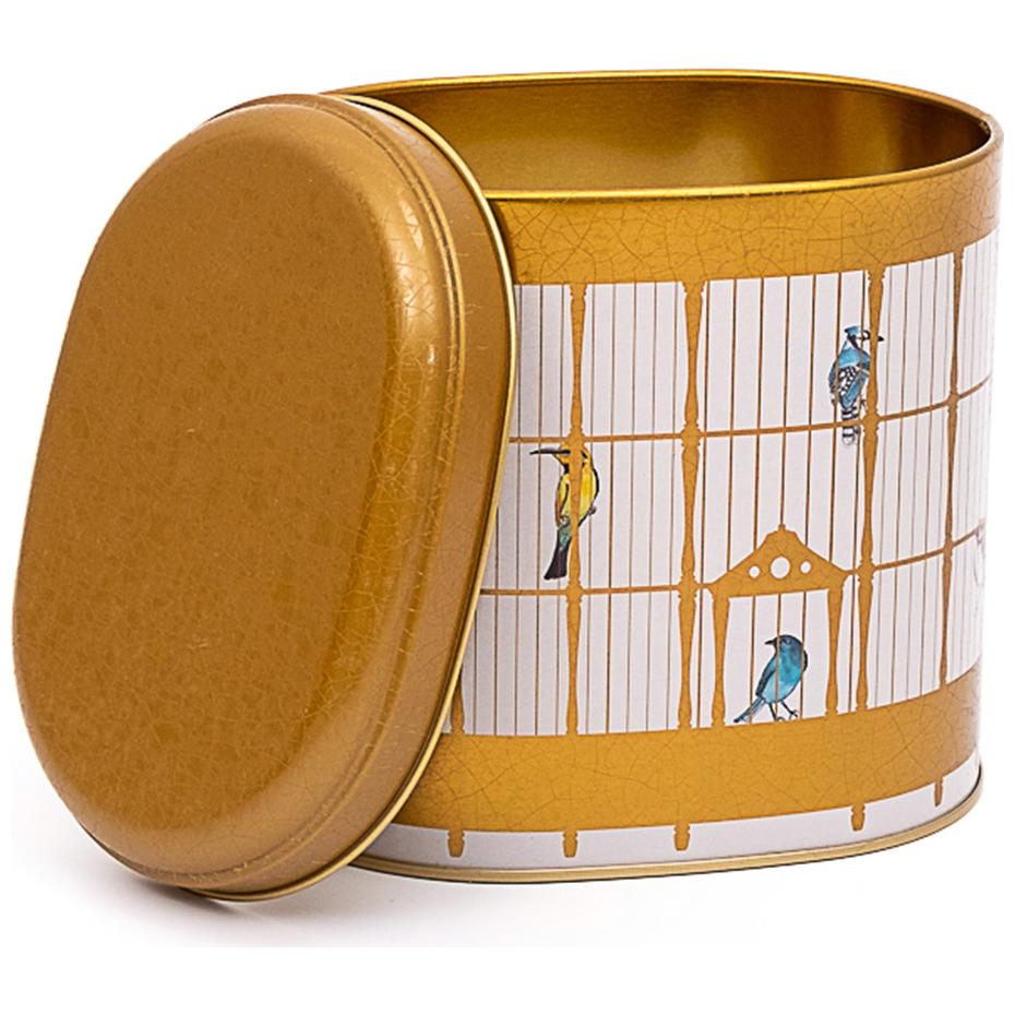 Oval Metal Tin – 140 x 120 x 130 mm (1.4L) Vintage Birdcage Illustration with Colorful Birds