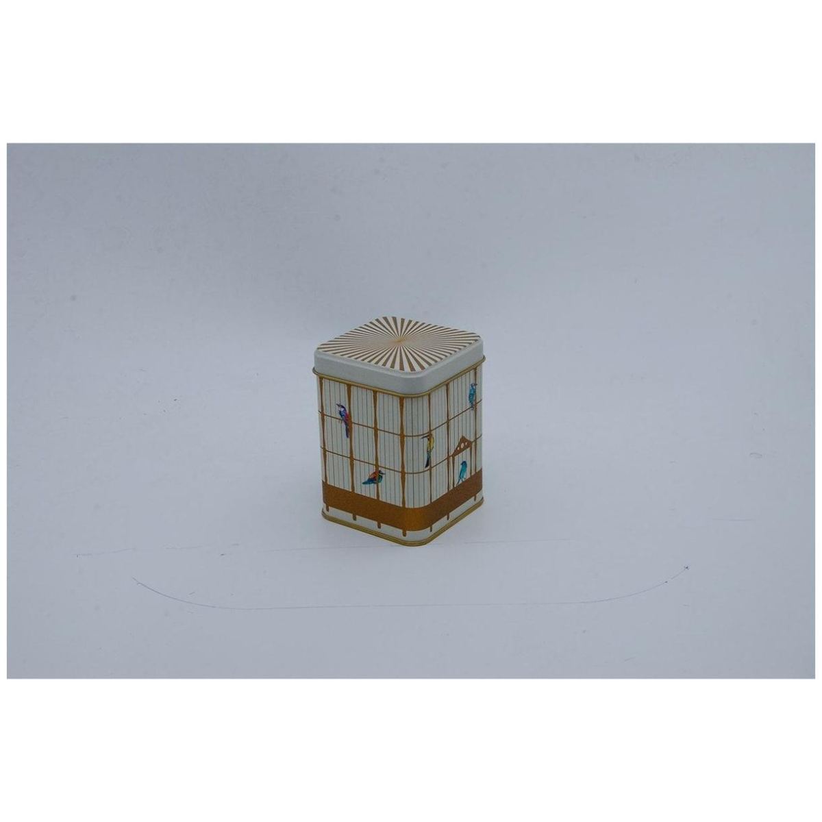 75x75x102 mm Square Metal Box 0.5L slip Lid Vintage Birdcage Illustration with Colorful Birds