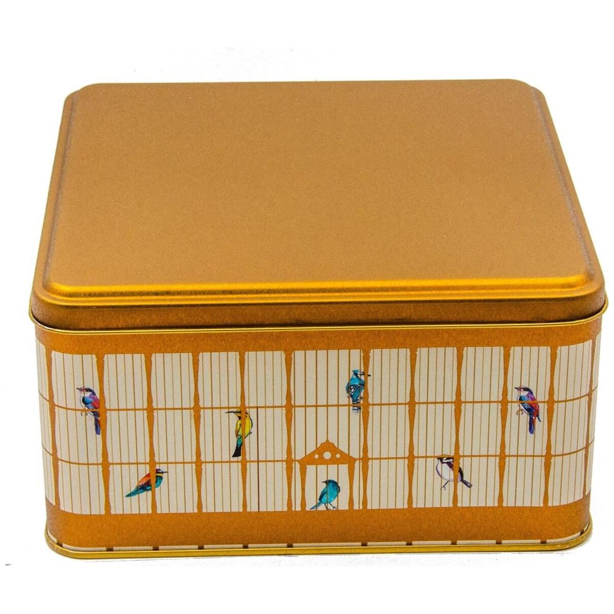 198x198x100 mm Square Metal Storage box 3.7L Vintage Birdcage Illustration with Colorful Birds