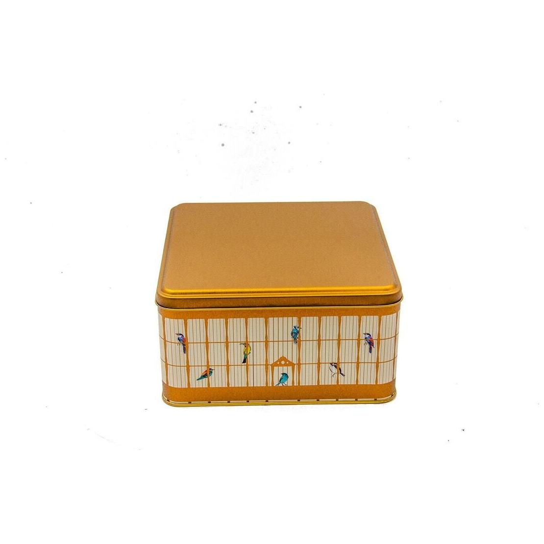 198x198x100 mm Square Metal Storage box 3.7L Vintage Birdcage Illustration with Colorful Birds