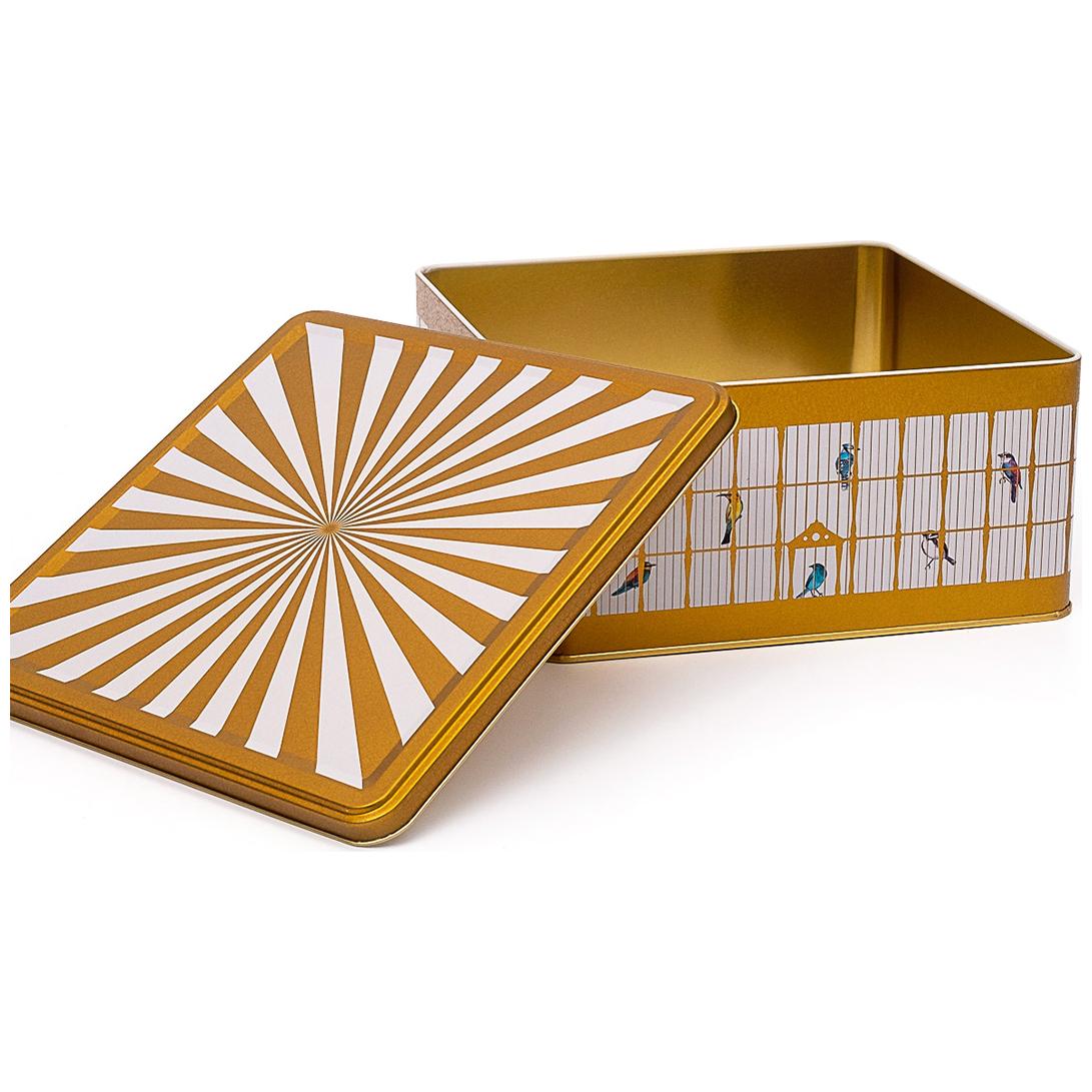 235x235x110 mm Square Storage Box 5.8L Slip Lid  Vintage Birdcage Illustration with Colorful Birds