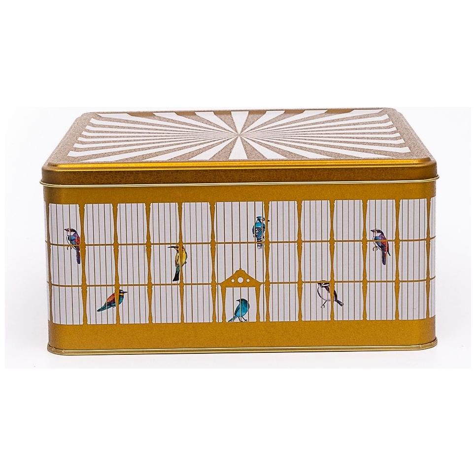 235x235x110 mm Square Storage Box 5.8L Slip Lid  Vintage Birdcage Illustration with Colorful Birds