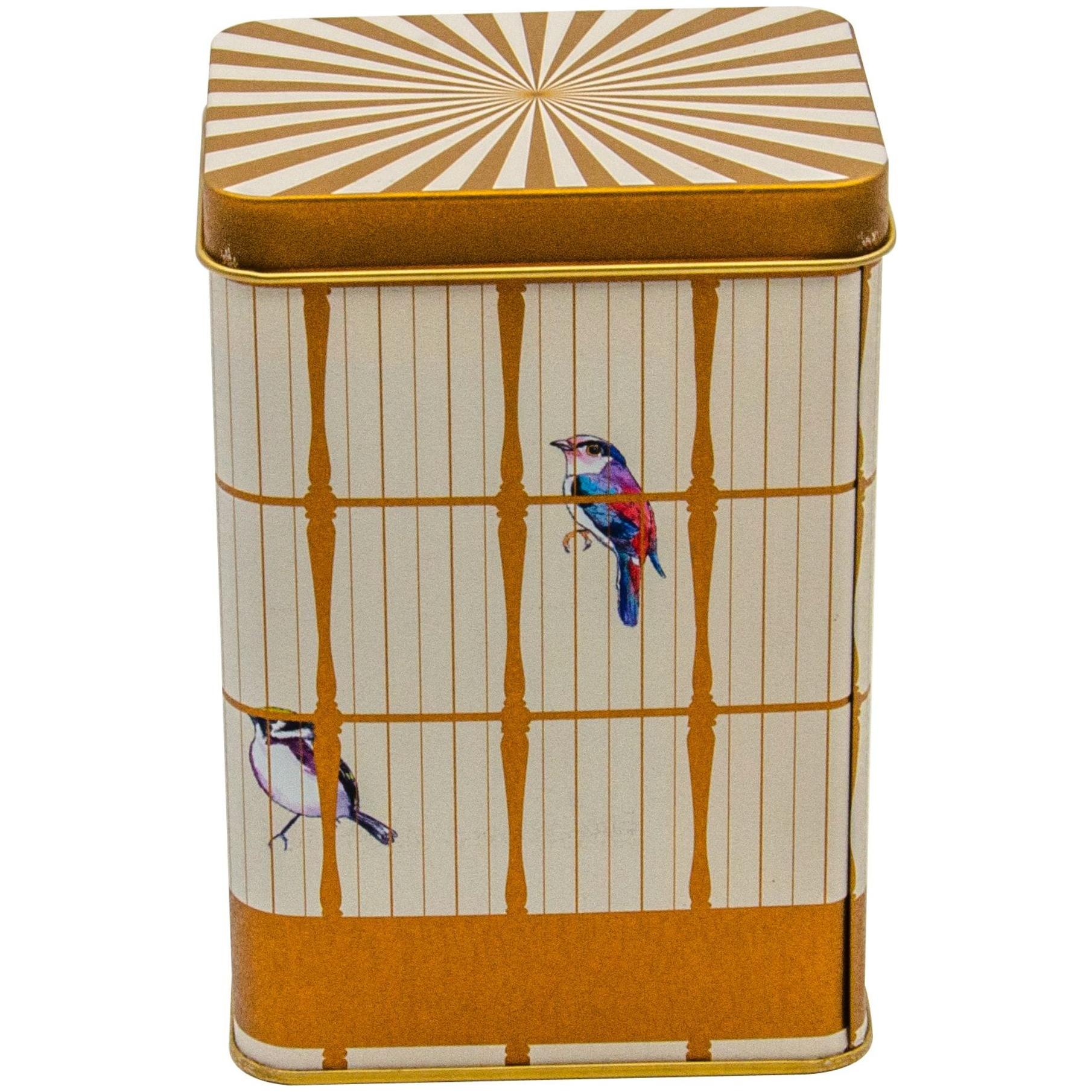75x100x150 mm Rectangular Metal Storage Box 1.2L Slip Lid Vintage Birdcage Illustration with Colorful Birds
