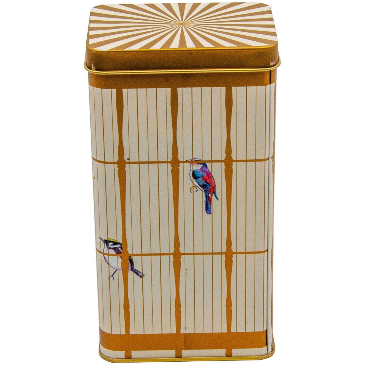 75x100x150 mm Rectangular Metal Storage Box 1.3L Slip Lid   Vintage Birdcage Illustration with Colorful Birds