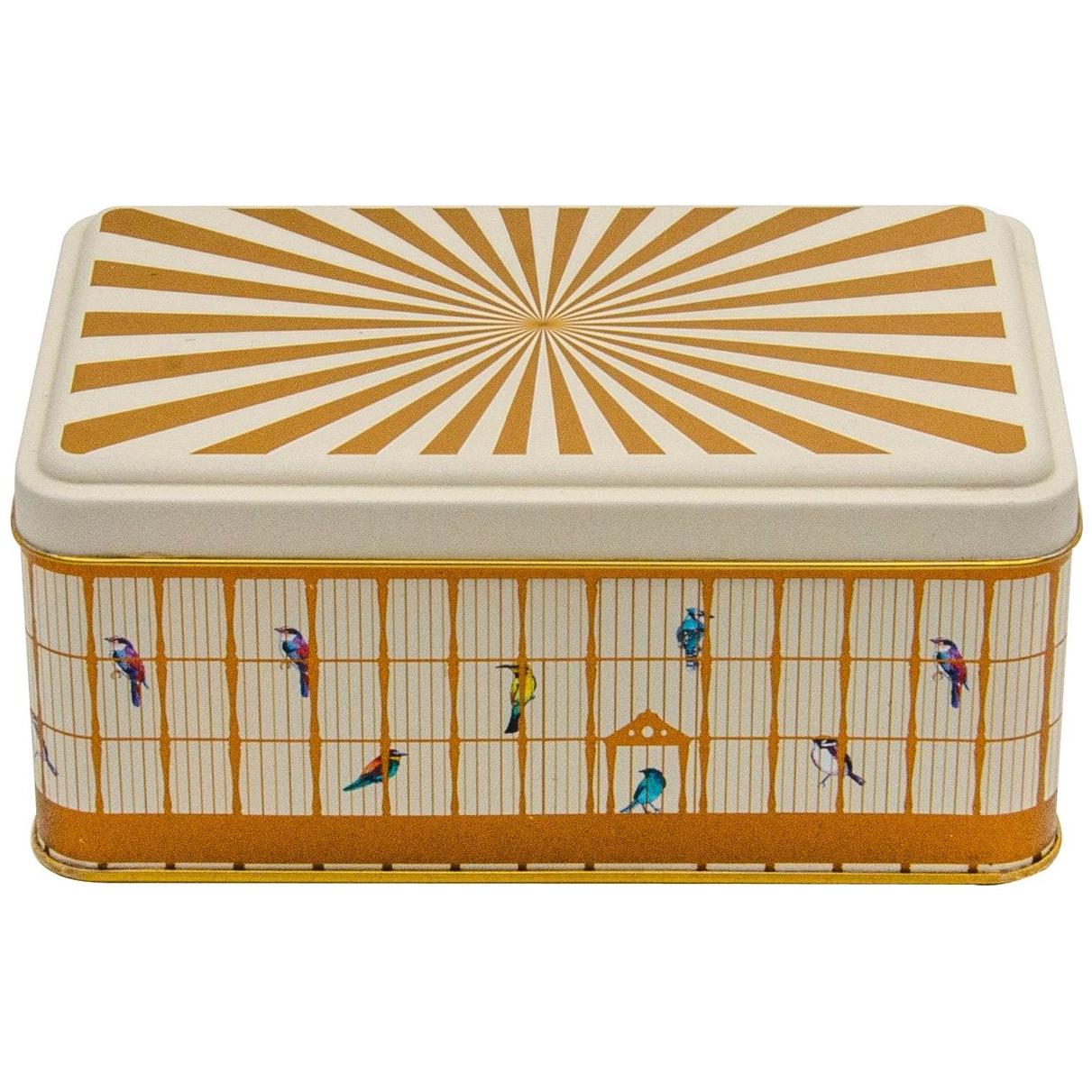 115x190x80 mm Rectangular Metal Storage Box 1.6L Vintage Birdcage Illustration with Colorful Birds