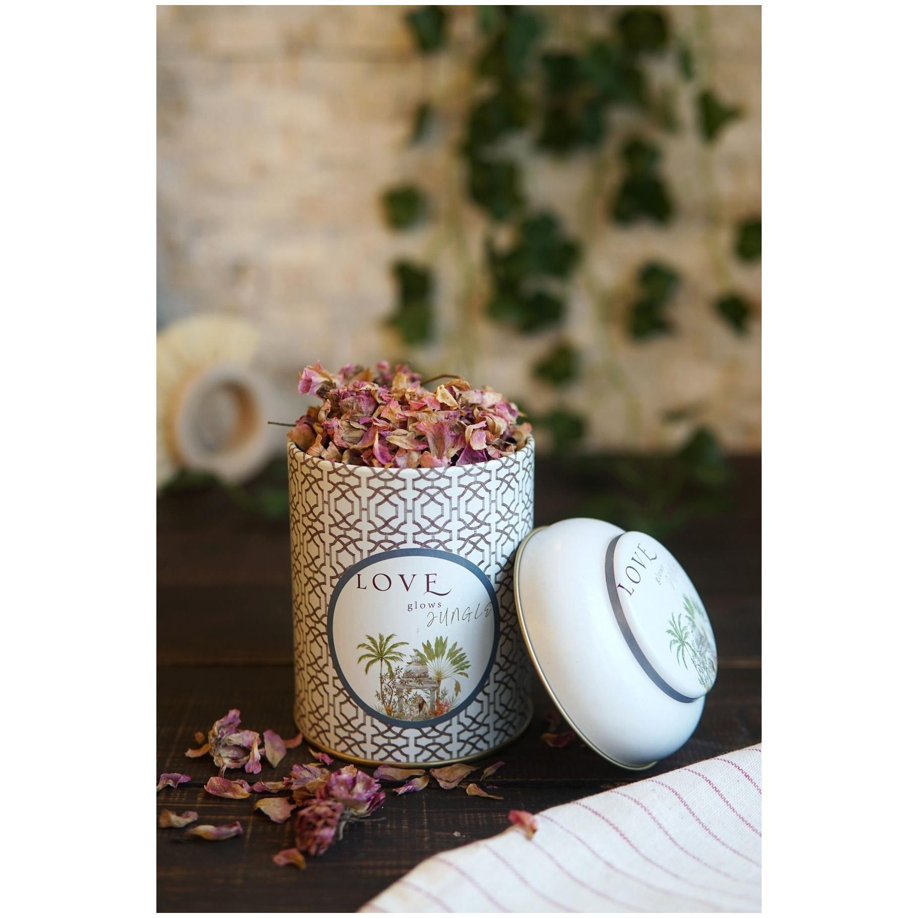 Ø90 x 110 mm Round Metal Tin – 0.6L with Dome Lid Tropical Jungle – A Lush Paradise of Nature & Wildlife