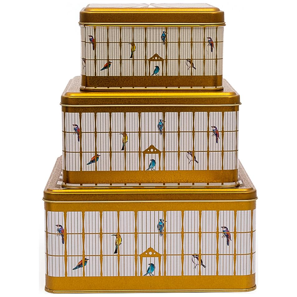Square Metal Storage Box Set  235mm x 235mm x 110 mm  ( Set of 3 )  Vintage Birdcage Illustration with Colorful Birds Bird Cage Design