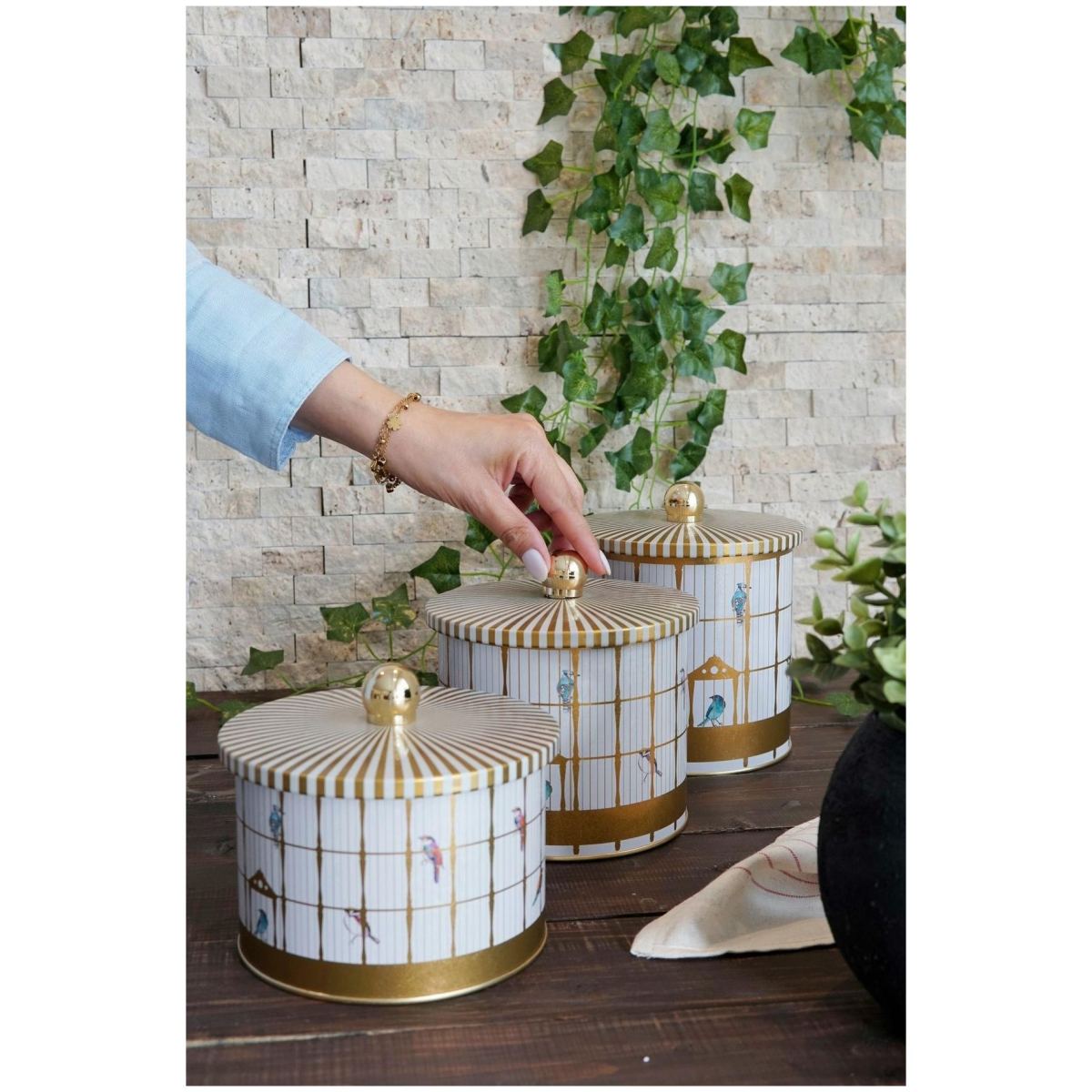 Round Metal Tin Canister Set Ø140 mm  ( 3Pcs)  Vintage Birdcage Illustration with Colorful Birds Bird Cage Design