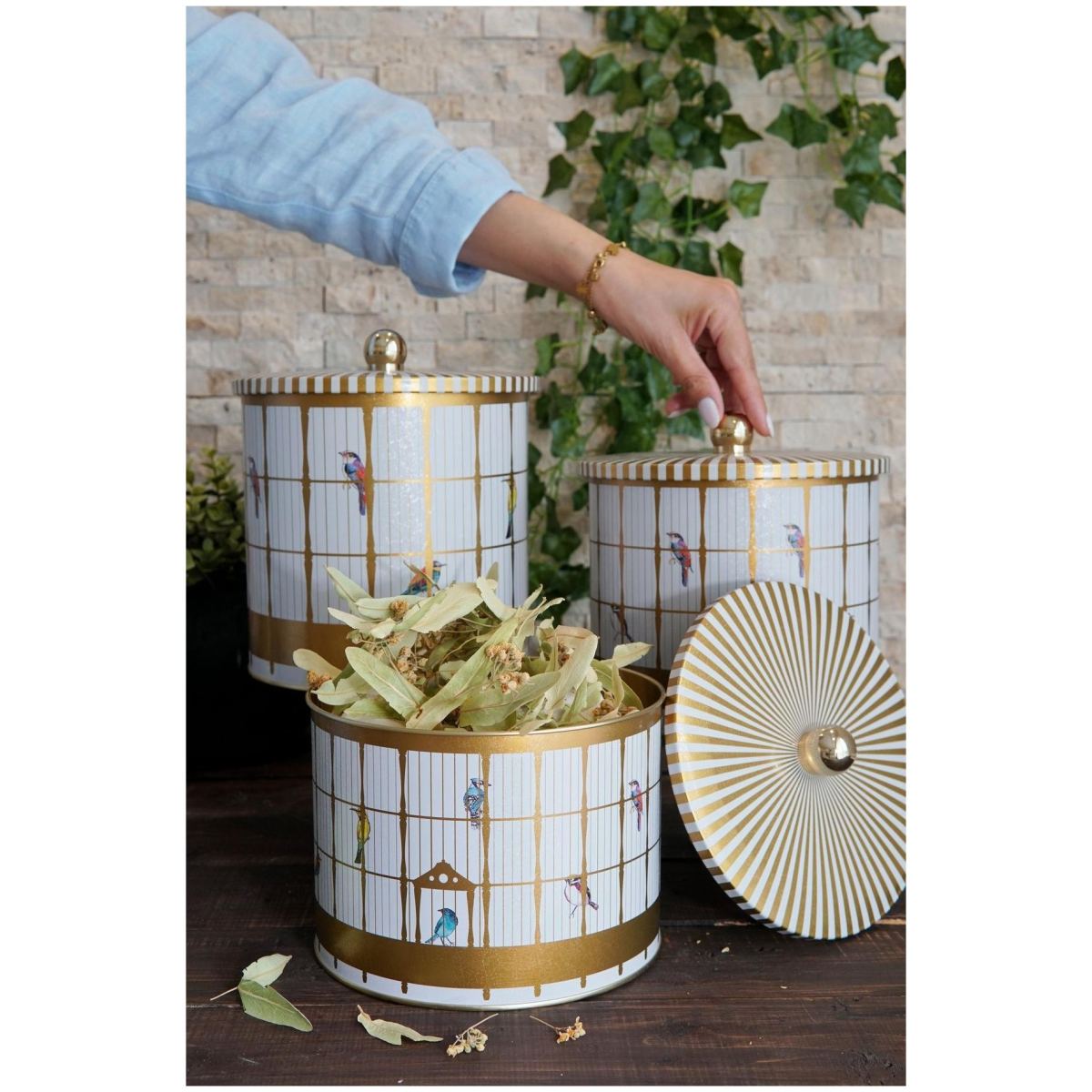  Round Metal Tin Canister Set Ø175 mm ( 3Pcs)  Vintage Birdcage Illustration with Colorful Birds Bird Cage Design
